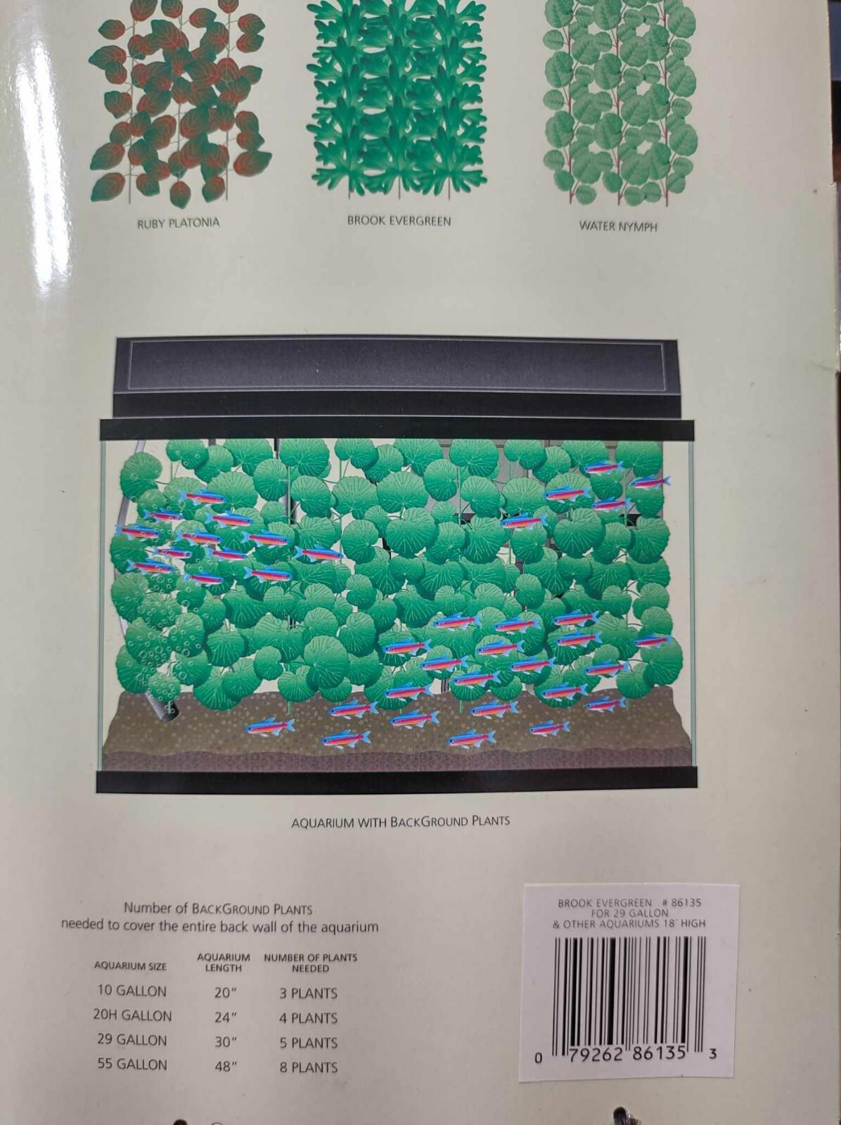 Lot of Fish Aquairum Background Plants 4 packs