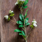 Artificial Asakusa Tea Leaf Stem