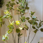 Artificial Silk Bauhinia Tree In Pot