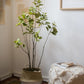 Artificial Silk Bauhinia Tree In Pot