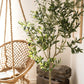 Artificial Silk Faux Olive Tree In Pot