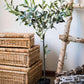 Artificial Silk Faux Olive Tree In Pot