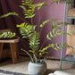 Artificial Faux Eagle Fern Bulk Plant