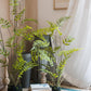 Artificial Faux Eagle Fern Bulk Plant