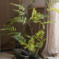 Artificial Faux Eagle Fern Bulk Plant