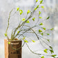 Artificial Faux Plant Green Leaf Rattan Stem 37" Tall