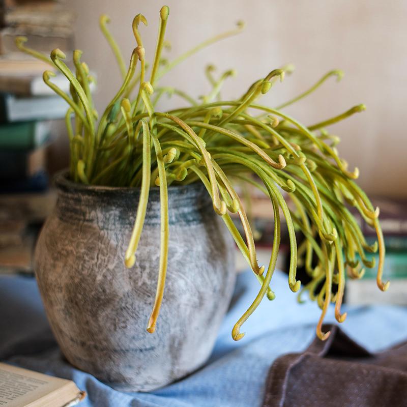 Artificial Plant Green Sarracenia Stem 12" Tall