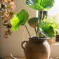 Artificial Faux Plant Lotus Seed and Leaf Stem Various Sizes