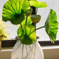 Artificial Faux Plant Lotus Seed and Leaf Stem Various Sizes
