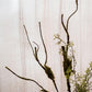 Artificial Plant Moss Rattan Stem 35" Tall