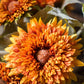 Artificial Sunflower Bouquet in Green or Orange 18" Tall