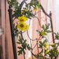 Artificial Sunflower Vine 67" Long