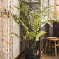 Artificial Faux Cyathea Tree In Pot