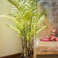 Artificial Faux Cyathea Tree In Pot