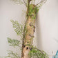 Artificial Vines Maidenhair Fern 55" Long