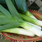Autumn Giant Leek Onion - 300 Seeds