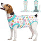 Female Dog Recovery Suit After Spay, XS–2XL