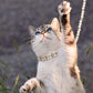 2 Pcs Pearl Collar and Leash for Dogs