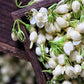 Bulk Dried Jasmine Tea – Whole Jasmine Flowers (500g–1000g)