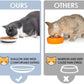 Ceramic Cat Food Bowls Whisker Friendly Cat Bowls With Nonslip Silicone Bottom Cat Food Dishes For Food And Water Cat Food Dishes Wide Shallow Small Cat Plates For Cats Kitten Small Dogs