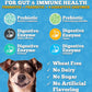 Well Loved Probiotics for Dogs with Prebiotics & Digestive Enzymes