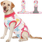 Female Dog Recovery Suit After Spay, XS–2XL
