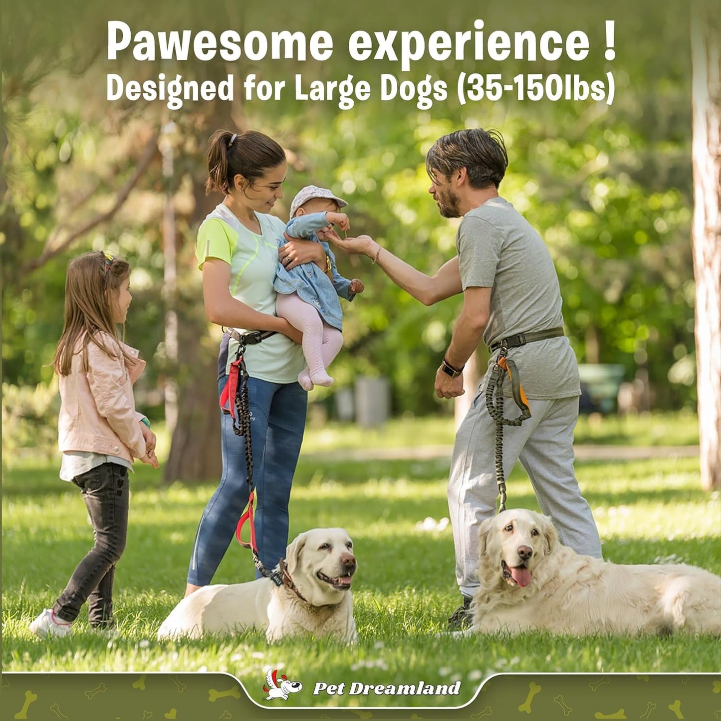 Exquisite Hands-Free Dog Leash for Large Dogs
