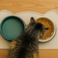 Silicone Pet Feeding Mat – Waterproof Non-Slip Bowl Mat, 36 Options