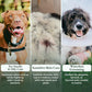 Dry Shampoo for Dogs Itchy Skin Paw Licking Allergy Support Powder