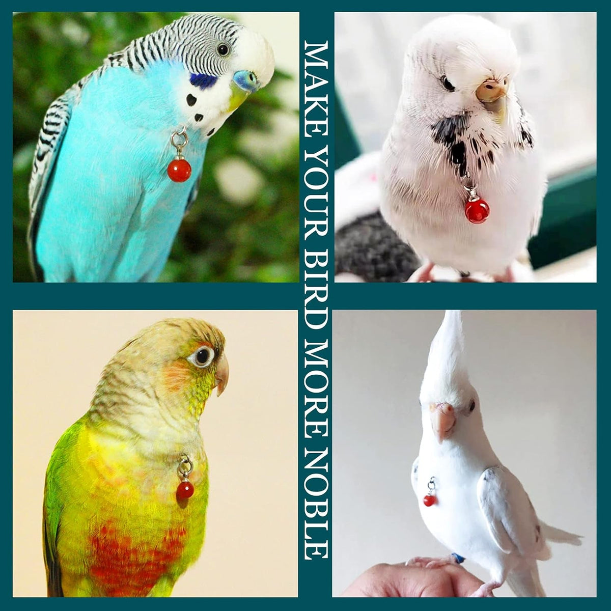 Parrot Bells Parrot Collar Necklace Parrot Decoration Parrot Scarf Clothes Budgerigar Peony Parrot Cockatiel Golden Sun Parrot