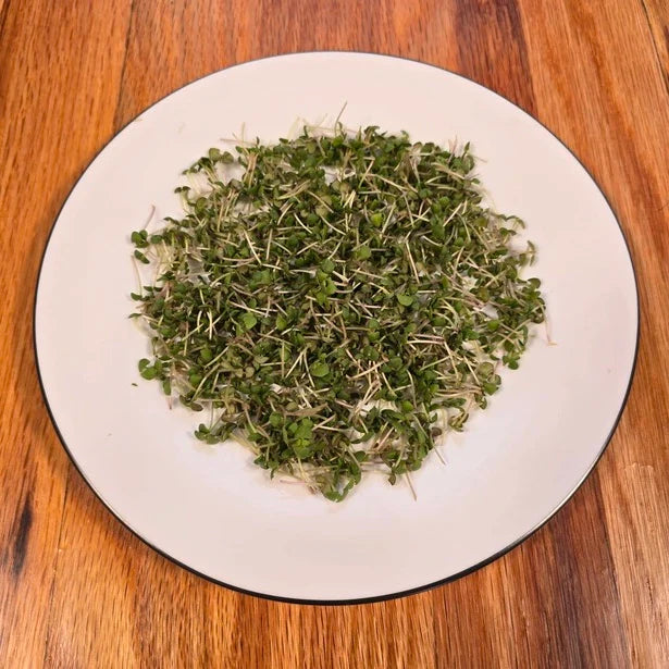 Basil Lemon Microgreens Seeds
