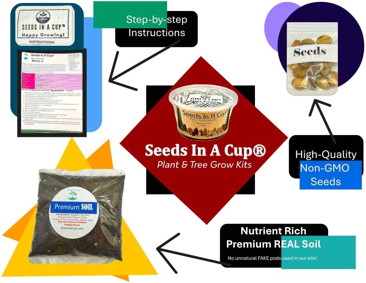 Beans | Plant Seed Starter Grow Kit | Seeds In A Cup®