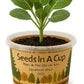 Basil | Plant Seed Starter Grow Kit | Seeds In A Cup®
