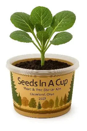 Bell Pepper | Plant Seed Starter Grow Kit | Seeds In A Cup®
