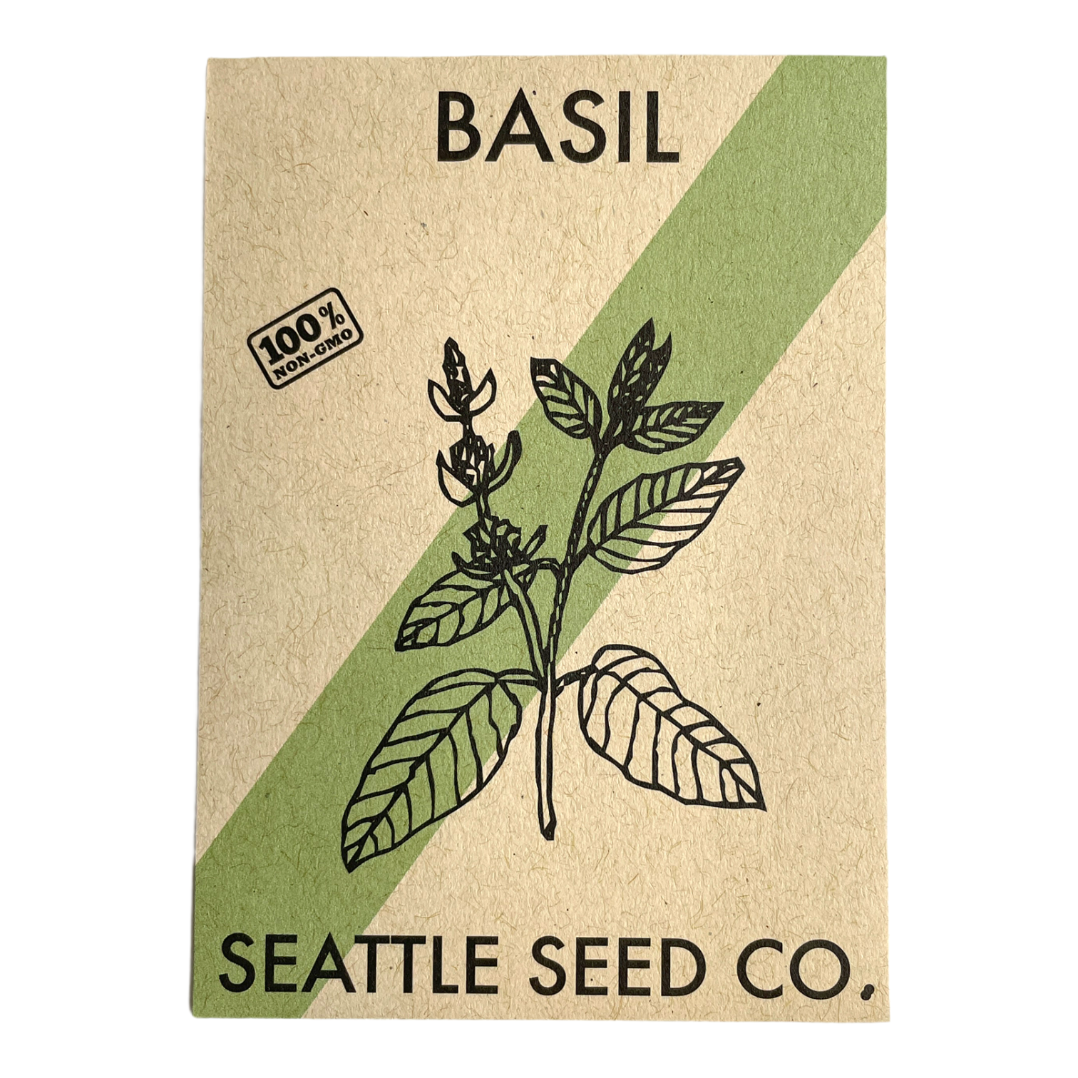 Basil - Italian Large Leaf – Orchid Stuff Plus