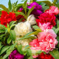 Baby's Breath, Sunflower, Cosmos, Daisy Four-season Seeds