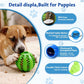 Interactive Puppy Play Gym with 16 Toys Dog Enrichment Activity Center