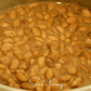 Pinto Bean – 20 Seeds