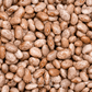 Pinto Bean – 20 Seeds