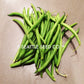 Beans - Blue Lake FM-1 (Pole)