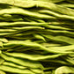 50 ROMANO BUSH BEAN Italian Flat Green Pod Phaseolus Vulgaris Vegetable Seeds