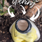 Bee Watering Spike