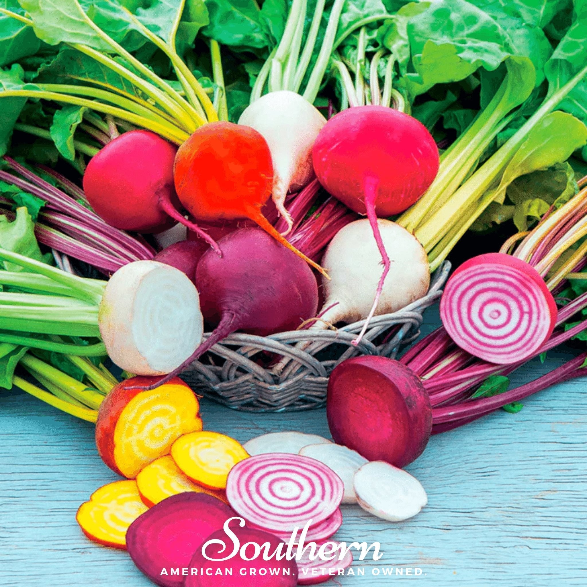 Gourmet Blend Beet – 50 Seeds – Orchid Stuff Plus