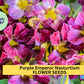 Purple Emperor Nasturtium Seeds – 50+ Dusky Rose Blooms – Trailing Annual for Ground Cover, Hanging Baskets & Containers – USA