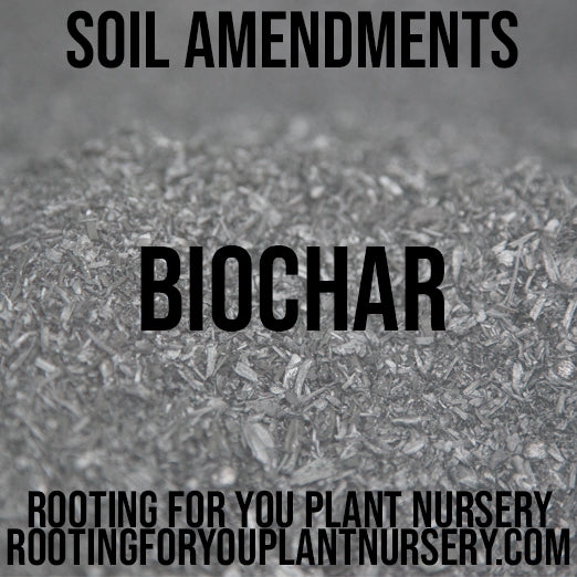BioChar Soil Amendment