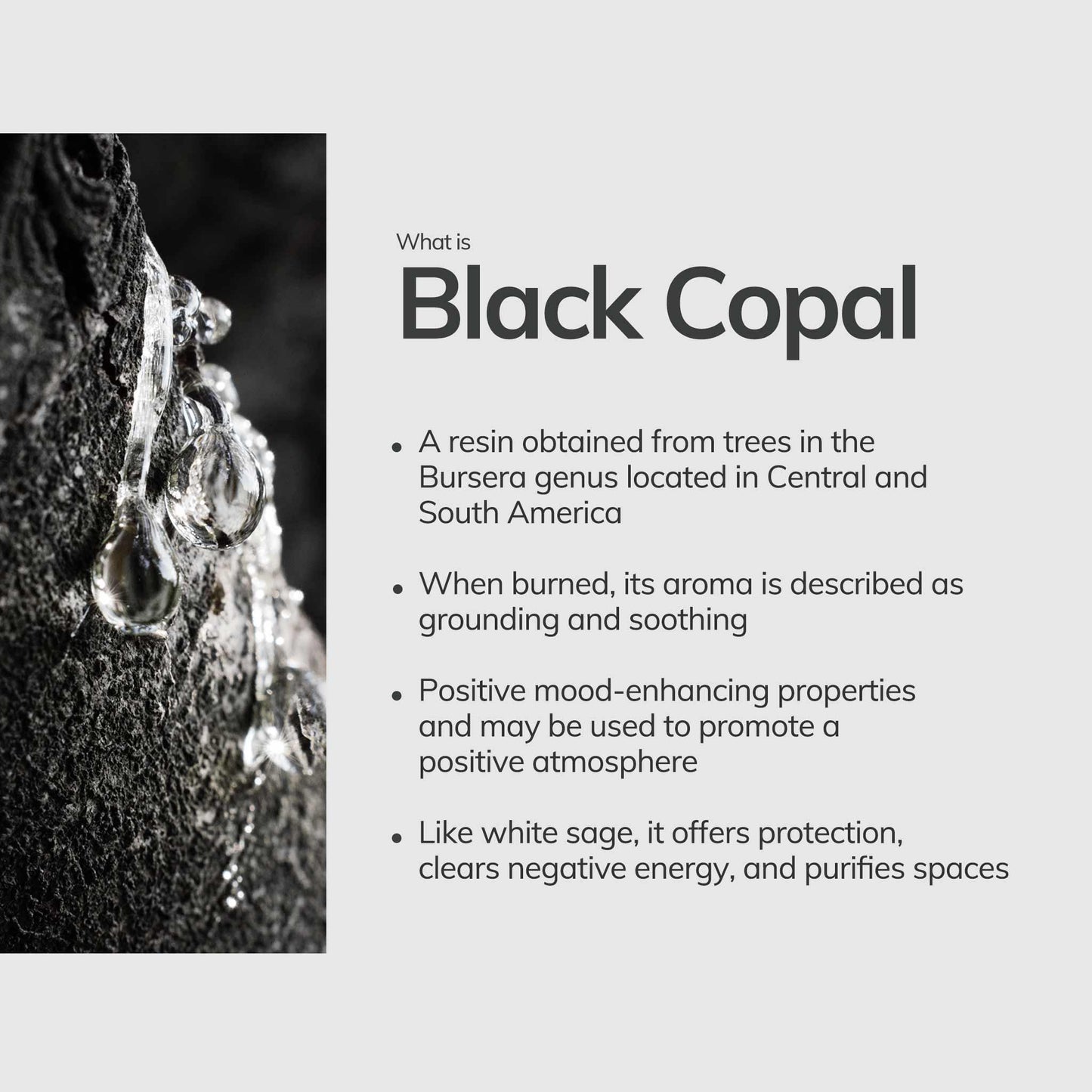 Black Copal Incense Sticks – 7 Hand-Rolled Sticks from Peru
