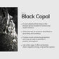 Black Copal Incense Sticks – 30 Mini Hand-Rolled Sticks from Peru (4.2")