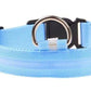LED Adjustable Dog Collar- 5 Sizes 7 Colors  Blinking Flashing/Solid
