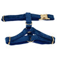 Blue Velvet Set