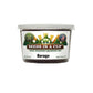 Borage Grow Kit | Grow Fresh Borage from Seed | Seeds In A Cup®